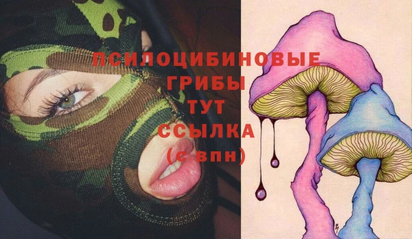 амфетамин Медвежьегорск