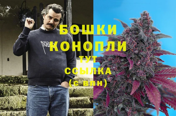 тгк Мегион