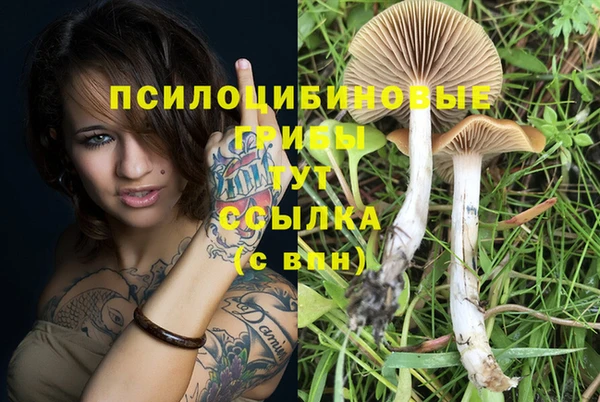 соль курить ск Магас