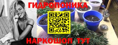 тгк Балахна