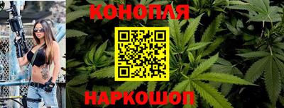spice Абакан