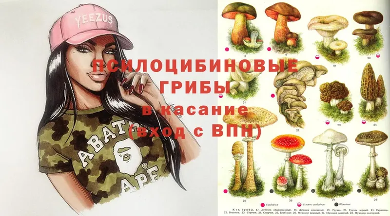 OMG сайт  Казань  Псилоцибиновые грибы Psilocybine cubensis  купить  цена 