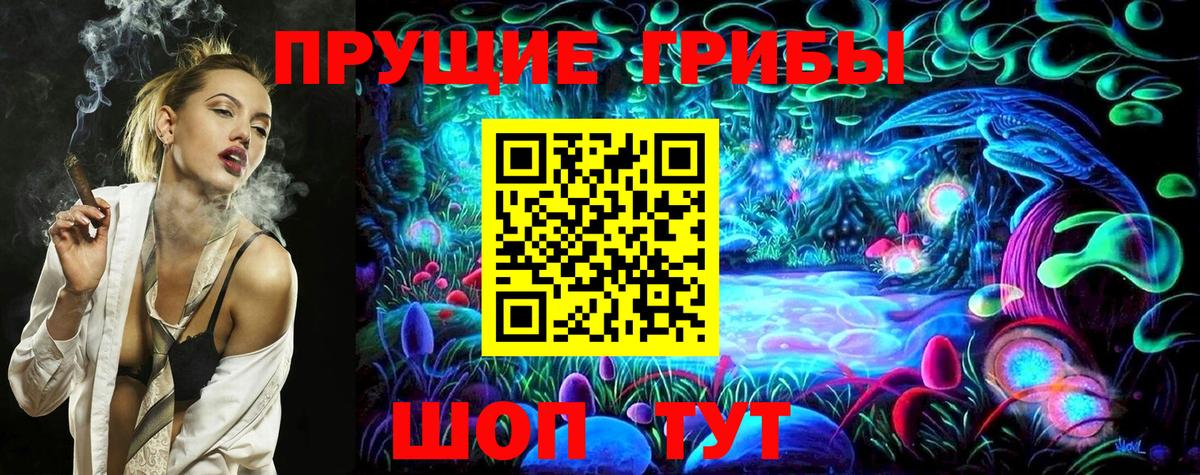 Галлюциногенные грибы Psilocybine cubensis  Псилоцибиновые грибы GOLDEN TEACHER  сколько стоит  Вход с VPN  Казань 