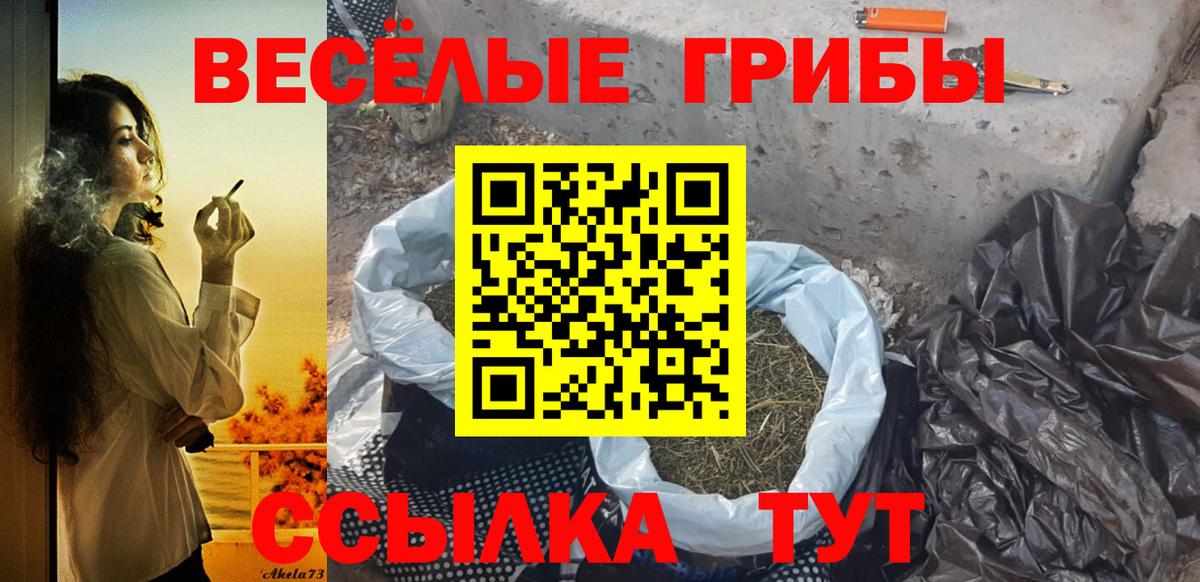 Галлюциногенные грибы Psilocybe  Казань 