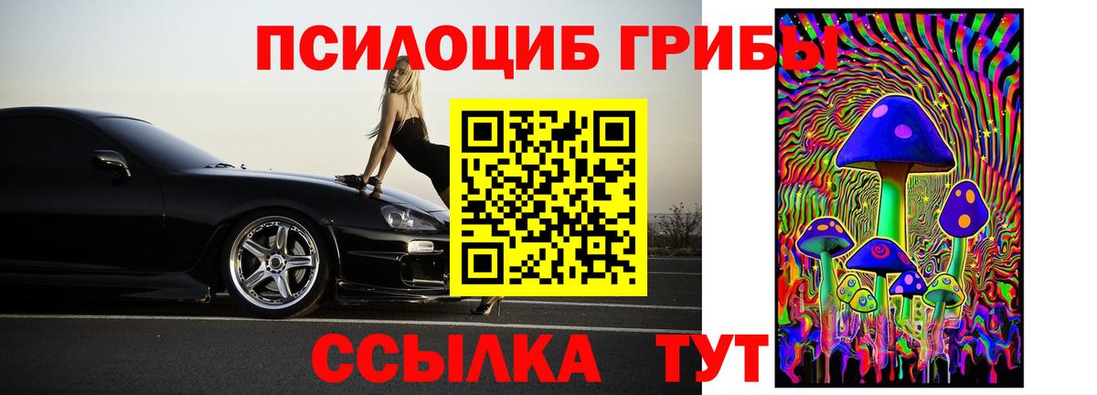 Псилоцибиновые грибы Cubensis Казань