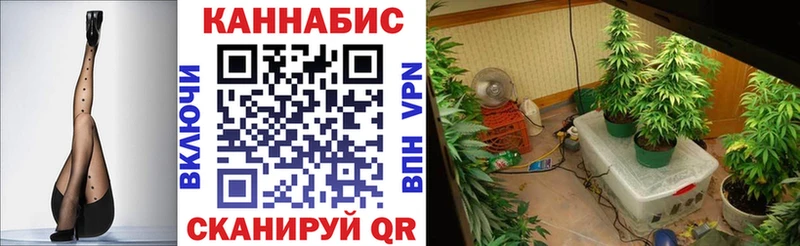 купить наркотики цена  Казань  MEGA зеркало  Бошки марихуана индика 